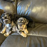 processed/94f99342-fb49-4338-991d-e818a13a401d/facility/95d13604-1ed1-4602-a7fb-48c0533a8b4e