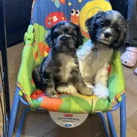 processed/94f99342-fb49-4338-991d-e818a13a401d/facility/9c61bbfc-3302-482d-9427-e79b3549f937