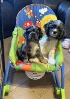 processed/94f99342-fb49-4338-991d-e818a13a401d/facility/9c61bbfc-3302-482d-9427-e79b3549f937