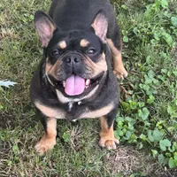 processed/94f99342-fb49-4338-991d-e818a13a401d/facility/b209d9f9-1013-4657-97e3-710676717969