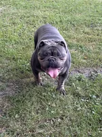 processed/94f99342-fb49-4338-991d-e818a13a401d/facility/bdd86b8f-8a31-4bd6-b9fd-f4e7f02f659e