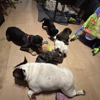 processed/94f99342-fb49-4338-991d-e818a13a401d/facility/c26feed3-ee50-4c2c-b69c-a24f4cbaf0cb