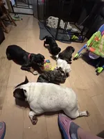 processed/94f99342-fb49-4338-991d-e818a13a401d/facility/c26feed3-ee50-4c2c-b69c-a24f4cbaf0cb