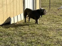 processed/94f99342-fb49-4338-991d-e818a13a401d/listing/104eef9a-9ba5-48b7-ad4f-d6e255ea52d2/0686725a-a192-4a28-9139-6badbacaf622