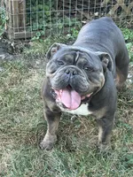 processed/94f99342-fb49-4338-991d-e818a13a401d/listing/104eef9a-9ba5-48b7-ad4f-d6e255ea52d2/6345b645-d187-4411-ae4c-b691b42b611b