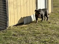 processed/94f99342-fb49-4338-991d-e818a13a401d/listing/104eef9a-9ba5-48b7-ad4f-d6e255ea52d2/8f9abe53-215d-482e-ad09-0baf85cc690e