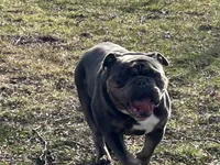 processed/94f99342-fb49-4338-991d-e818a13a401d/listing/104eef9a-9ba5-48b7-ad4f-d6e255ea52d2/a94efed3-34fe-43d4-b062-06bf5c535e8b