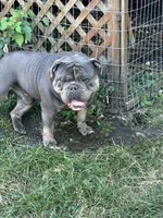 processed/94f99342-fb49-4338-991d-e818a13a401d/listing/104eef9a-9ba5-48b7-ad4f-d6e255ea52d2/c2023173-f2df-45f3-8043-e604e1de01f3