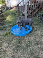 processed/94f99342-fb49-4338-991d-e818a13a401d/listing/104eef9a-9ba5-48b7-ad4f-d6e255ea52d2/e08df18f-acac-42f8-ae4a-dc357d1455b6