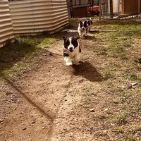 processed/94fc863b-764e-4469-b034-6149dbb5276b/facility/5fb1273e-33df-45f1-881c-809040bae5de