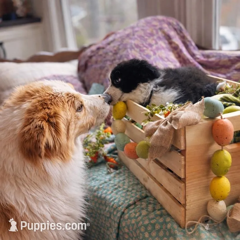 processed/94fc863b-764e-4469-b034-6149dbb5276b/facility/7afb3faf-6eee-484a-9eaf-c4124ab4e634