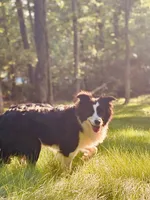 processed/94fc863b-764e-4469-b034-6149dbb5276b/facility/bd48bae1-b2ef-48f6-998b-765949cecc01