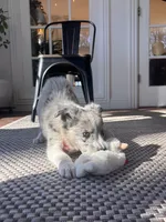 processed/94fc863b-764e-4469-b034-6149dbb5276b/listing/e5b0cf2e-d9d6-4f5c-8590-8ff981df49ce/028cb689-3e10-41d1-ac2c-be33644b5f0c