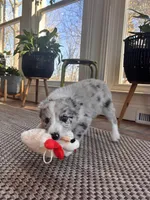 processed/94fc863b-764e-4469-b034-6149dbb5276b/listing/e5b0cf2e-d9d6-4f5c-8590-8ff981df49ce/2eb0c131-525c-4491-b422-75d26c7887f4