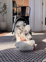 processed/94fc863b-764e-4469-b034-6149dbb5276b/listing/e5b0cf2e-d9d6-4f5c-8590-8ff981df49ce/681dd222-2f64-4c2d-90f6-1fab7f5256b0