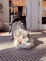 processed/94fc863b-764e-4469-b034-6149dbb5276b/listing/e5b0cf2e-d9d6-4f5c-8590-8ff981df49ce/69611d20-7da6-4389-8014-b779937089ea