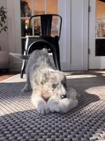 processed/94fc863b-764e-4469-b034-6149dbb5276b/listing/e5b0cf2e-d9d6-4f5c-8590-8ff981df49ce/c553f2f8-a595-4034-a85e-d14ac19d3332