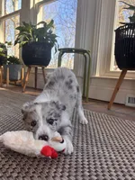 processed/94fc863b-764e-4469-b034-6149dbb5276b/listing/e5b0cf2e-d9d6-4f5c-8590-8ff981df49ce/e9fbd7e1-c3bf-4364-a9d8-98d280f34ab8