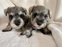 processed/950c5104-e26c-49d7-85bc-d4c0dceec160/facility/fce28ec8-c6fd-49de-a88e-d9c66730deae