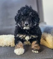 processed/95163b8d-7a27-4e4a-b9dc-acfadda962b9/listing/1ad813bf-939f-42e8-a9b4-956e82a26129/0dda5ca7-ac85-479c-9983-c8097a9cadf9