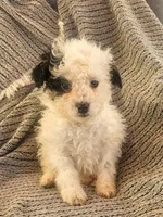 processed/95163b8d-7a27-4e4a-b9dc-acfadda962b9/listing/2a288b4c-39d5-4eb9-a2a3-a1a21ea09258/6d98a6ff-eef5-4572-a580-a19947f68fbc