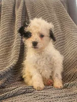 processed/95163b8d-7a27-4e4a-b9dc-acfadda962b9/listing/2a288b4c-39d5-4eb9-a2a3-a1a21ea09258/e9812904-ff07-4b76-b343-3a856425e57e