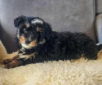 processed/95163b8d-7a27-4e4a-b9dc-acfadda962b9/listing/90daa223-3fad-4dc5-b9d7-cb02c6c64467/7a429ebe-4f42-445b-a543-906e12c420a8