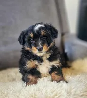 processed/95163b8d-7a27-4e4a-b9dc-acfadda962b9/listing/90daa223-3fad-4dc5-b9d7-cb02c6c64467/8ac28e62-3edb-4091-bcc7-43c08c5d233c