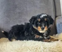 processed/95163b8d-7a27-4e4a-b9dc-acfadda962b9/listing/90daa223-3fad-4dc5-b9d7-cb02c6c64467/adeba397-cc1d-4049-ba1d-0b9000b465e3