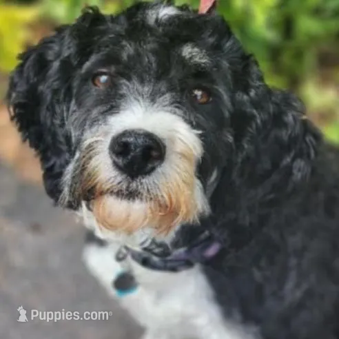 processed/95163b8d-7a27-4e4a-b9dc-acfadda962b9/listing/9a5d8843-75e2-43a7-9ab0-f58943999040/91e003d2-7acc-4b02-8c3e-5ddb52c344bd