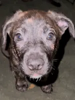 processed/951f635b-e864-419c-ad4d-2d888d1ad4f3/listing/0303de89-e53e-4a95-be2f-66500be22440/136ea87c-0703-421b-ae9d-f7b882a3cec6