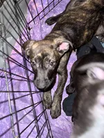 processed/951f635b-e864-419c-ad4d-2d888d1ad4f3/listing/0303de89-e53e-4a95-be2f-66500be22440/5afba4af-46f1-443c-bda6-a19b1279e0dc