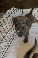 processed/951f635b-e864-419c-ad4d-2d888d1ad4f3/listing/0303de89-e53e-4a95-be2f-66500be22440/6ab0846e-4e87-4bb9-809d-f59d7fb23f0e