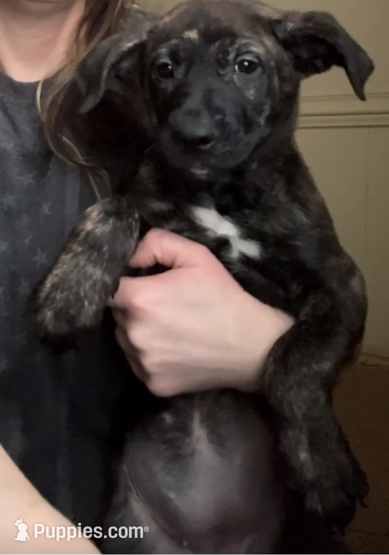 processed/951f635b-e864-419c-ad4d-2d888d1ad4f3/listing/0303de89-e53e-4a95-be2f-66500be22440/7ebd7e9c-a186-4afd-a486-1221b6c25515