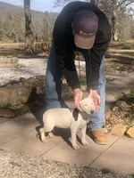 processed/9520f3d3-6d38-414a-bcec-42d5003652ae/listing/3141d062-b9e3-4d66-902f-7e5b4093b37c/459950e5-ab9d-4c5f-8495-5a70f205dcb7