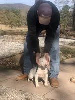 processed/9520f3d3-6d38-414a-bcec-42d5003652ae/listing/3141d062-b9e3-4d66-902f-7e5b4093b37c/56edce78-5e18-4e87-9cdc-2bfa320b61bb