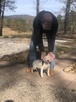 processed/9520f3d3-6d38-414a-bcec-42d5003652ae/listing/3141d062-b9e3-4d66-902f-7e5b4093b37c/67edee62-42b9-432f-884a-13237a1e55f2