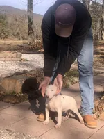 processed/9520f3d3-6d38-414a-bcec-42d5003652ae/listing/3141d062-b9e3-4d66-902f-7e5b4093b37c/9fa05165-52bf-410c-870e-0a58846e1379