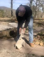 processed/9520f3d3-6d38-414a-bcec-42d5003652ae/listing/3141d062-b9e3-4d66-902f-7e5b4093b37c/debfa668-8f67-418e-8546-76bac77c9059