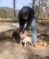 processed/9520f3d3-6d38-414a-bcec-42d5003652ae/listing/3141d062-b9e3-4d66-902f-7e5b4093b37c/e014d358-ea95-450a-a29a-303d77986b4c