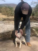 processed/9520f3d3-6d38-414a-bcec-42d5003652ae/listing/3141d062-b9e3-4d66-902f-7e5b4093b37c/e3fac153-a1b9-4a78-8ff8-0e1dccb9f979