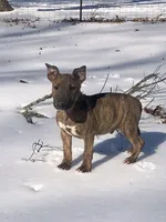 processed/9520f3d3-6d38-414a-bcec-42d5003652ae/listing/50c729e4-839a-4538-be5d-fa67b1754d4f/0a5e438e-5bf7-4a9f-96bf-73c37539d867