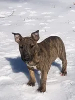 processed/9520f3d3-6d38-414a-bcec-42d5003652ae/listing/50c729e4-839a-4538-be5d-fa67b1754d4f/6bb7e668-d01c-469f-825a-5ed253b8a347