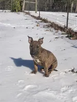 processed/9520f3d3-6d38-414a-bcec-42d5003652ae/listing/50c729e4-839a-4538-be5d-fa67b1754d4f/9d694aa8-a128-40f8-af62-be8fe0b49291