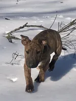 processed/9520f3d3-6d38-414a-bcec-42d5003652ae/listing/50c729e4-839a-4538-be5d-fa67b1754d4f/a5160b24-5505-4084-9334-703d92d90cd2