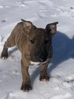 processed/9520f3d3-6d38-414a-bcec-42d5003652ae/listing/50c729e4-839a-4538-be5d-fa67b1754d4f/a856a1d6-cc73-4447-99c6-59337973c74c