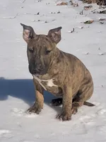 processed/9520f3d3-6d38-414a-bcec-42d5003652ae/listing/50c729e4-839a-4538-be5d-fa67b1754d4f/ce5b8053-5e98-4358-9527-b2cecf451c61