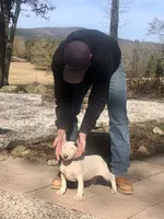 processed/9520f3d3-6d38-414a-bcec-42d5003652ae/listing/7440eee3-551b-4b7f-8177-d022f9d2df5b/446eabe2-4cf8-4044-b278-e9dc1021858e