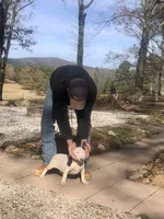 processed/9520f3d3-6d38-414a-bcec-42d5003652ae/listing/7440eee3-551b-4b7f-8177-d022f9d2df5b/47e3955e-9186-4ea1-adeb-c587b48d0b18