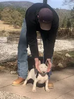 processed/9520f3d3-6d38-414a-bcec-42d5003652ae/listing/7440eee3-551b-4b7f-8177-d022f9d2df5b/5d551f6c-6b71-424a-8dd8-10398d291874